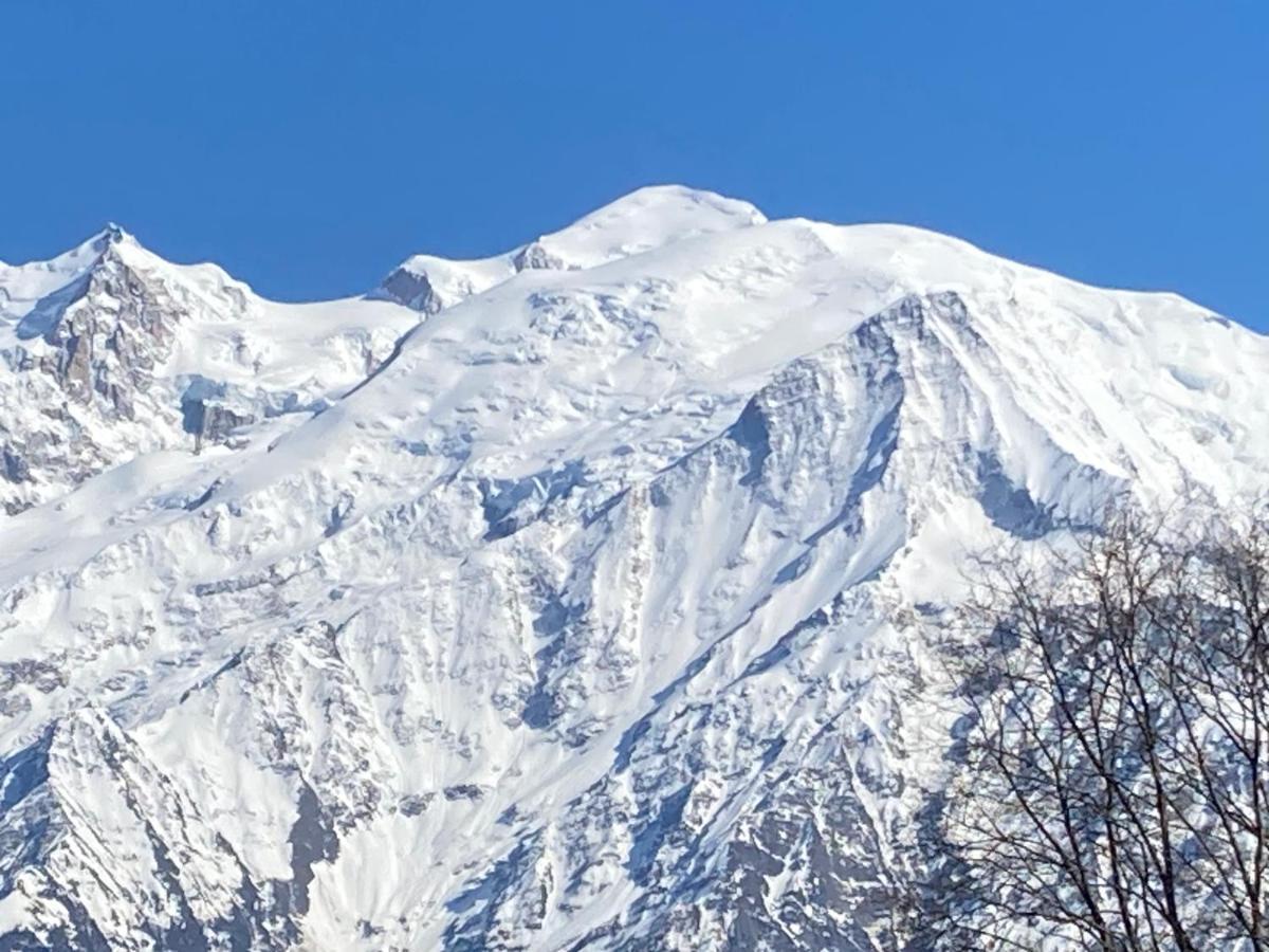 Les Edelweiss Mont-Blanc - Gite Classe 3 Etoiles Passy  Exterior foto