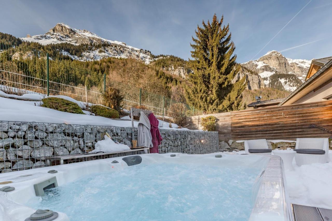 Les Edelweiss Mont-Blanc - Gite Classe 3 Etoiles Passy  Exterior foto