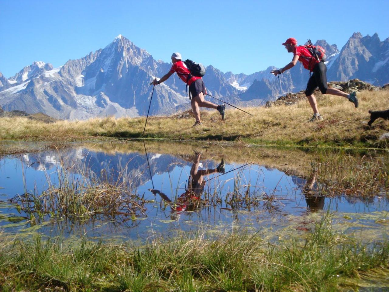 Les Edelweiss Mont-Blanc - Gite Classe 3 Etoiles Passy  Exterior foto