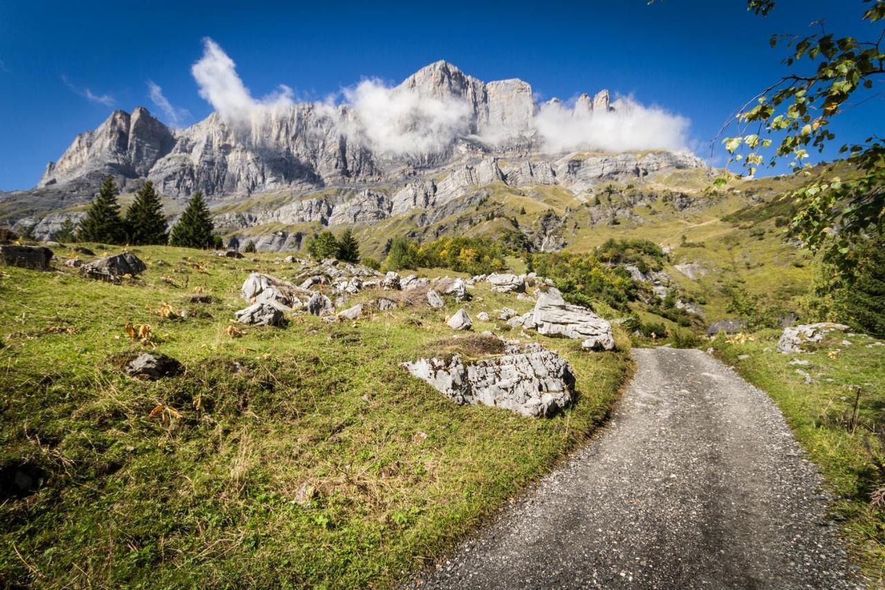Les Edelweiss Mont-Blanc - Gite Classe 3 Etoiles Passy  Exterior foto